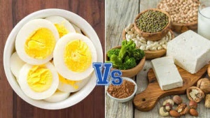 Beyond the Egg: 20 Vegetarian Foods Supercharged with Protein