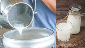 Raw Milk Health Alert: Experts Warn of Foodborne Illnesses, Bacterial Risks, and Vulnerable Groups at Higher Risk