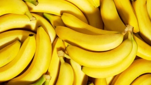 Harvard Gastroenterologist Debunks Food Myths: White Rice, Coffee, and 7 Gut Health Secrets