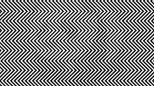 Optical Illusion: Amidst the scattered Zebras everywhere, can you find the hidden piano in this picture?
