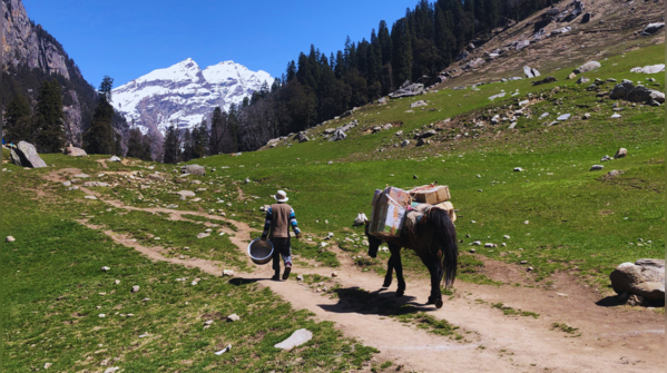 Wooden homes in Shoja village