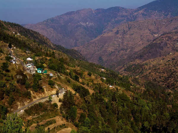 Scenic view of Pangot