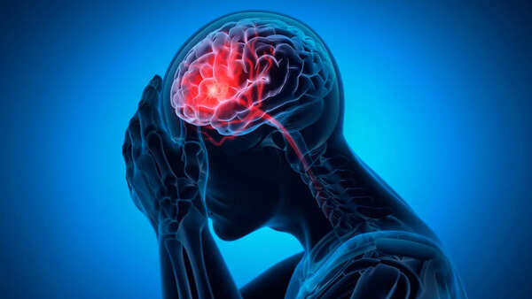 Close-up of human brain structure