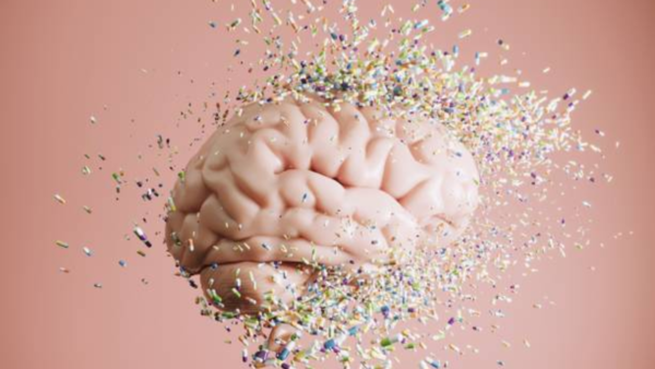 Illustration of a healthy brain