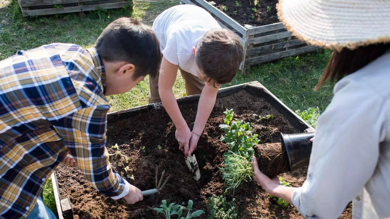 Preparing the soil for monsoon planting.
