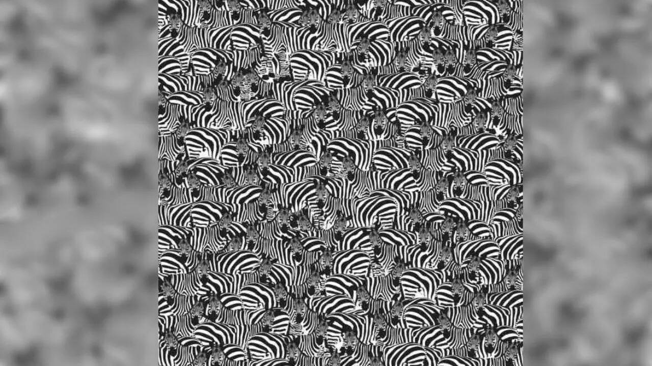 Optical Illusion
