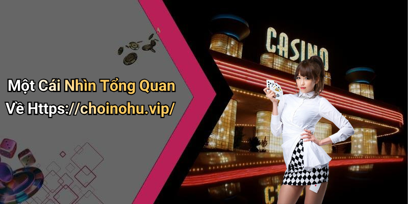 Một Cái Nhìn Tổng Quan Về Https://choinohu.vip/