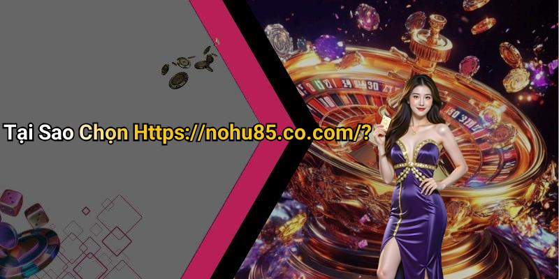Tại Sao Chọn Https://nohu85.co.com/?