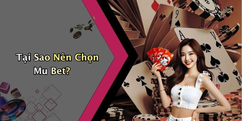 Tại Sao Nên Chọn Mu Bet?