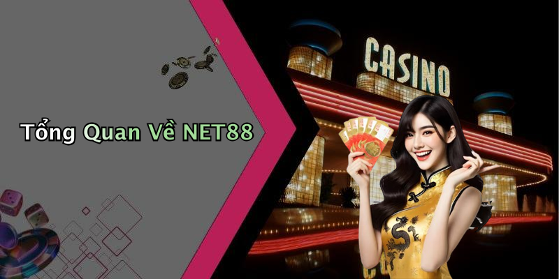Tổng Quan Về NET88