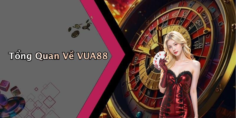 Tổng Quan Về VUA88