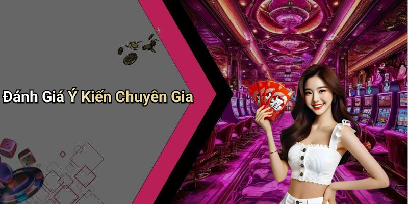 Đánh Giá Ý Kiến Chuyên Gia
