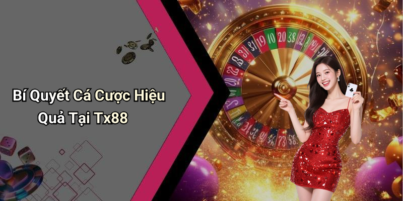 Bí Quyết Cá Cược Hiệu Quả Tại Tx88