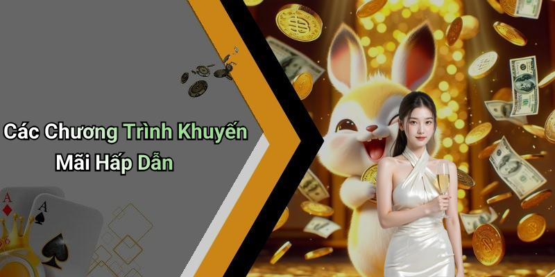 Các Chương Trình Khuyến Mãi Hấp Dẫn